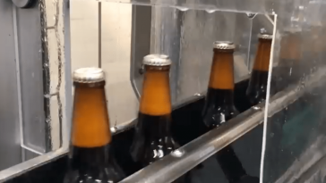 Pierwsze butelki Noszaka opuszczają Browar Zamkowy. Zobacz [VIDEO]