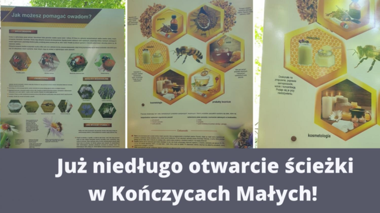 Już niedługo otwarcie ścieżki pszczelarskiej w Kończycach!