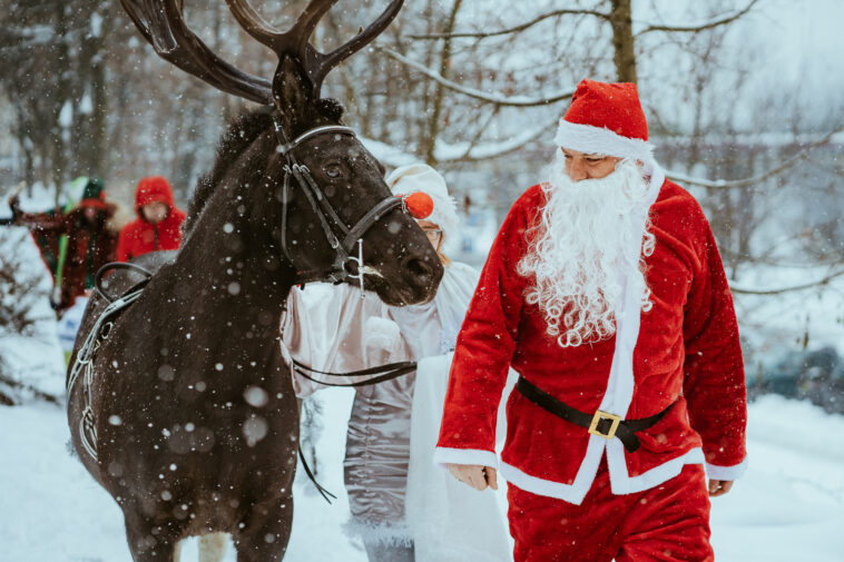 Mikołaj, elfy i renifer w Cieszynie