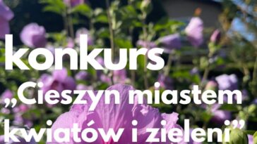 Cieszyn: Konkurs na najpiękniejszy ogród i zieleń Cieszyn: Konkurs na najpiękniejszy ogród i zieleń