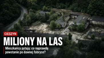 Co dalej z LAS-em? Dziś stawką jest coś więcej niż porządek na działce